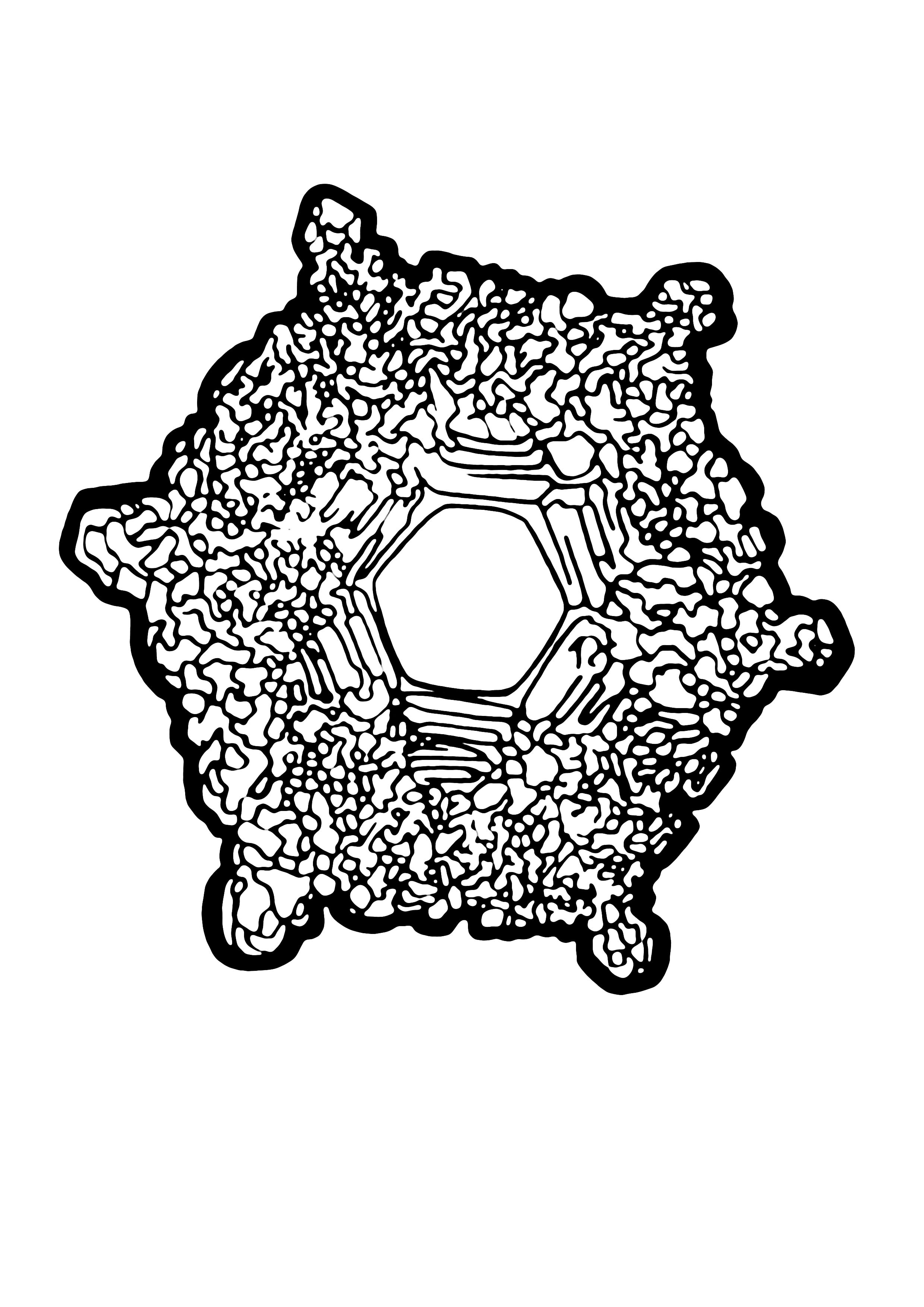 WATER LOVE AND GRATITUDE